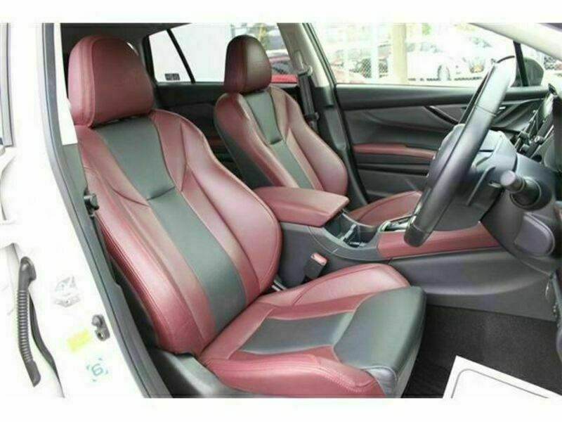 LEVORG-13