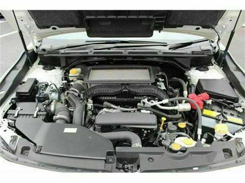 LEVORG-18