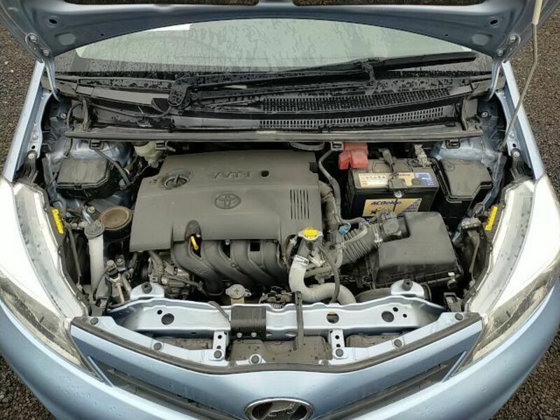 VITZ