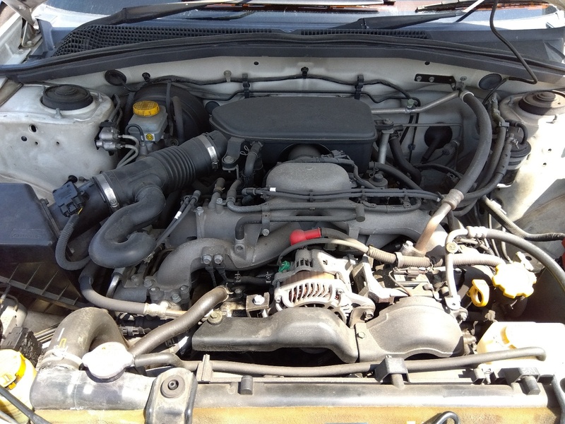 FORESTER-7