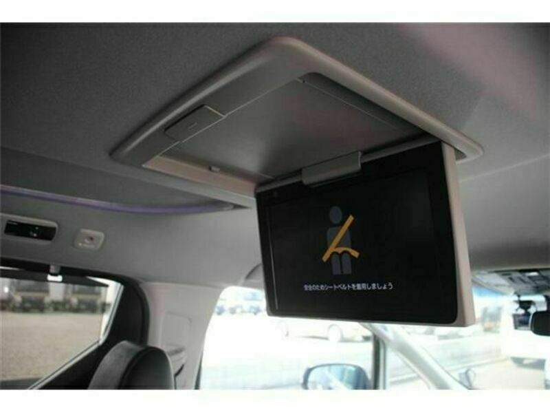 ALPHARD-1