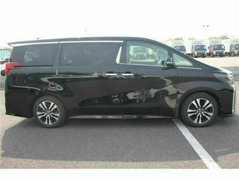 ALPHARD-10