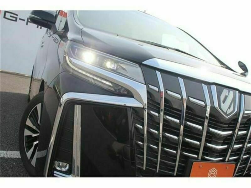 ALPHARD-12