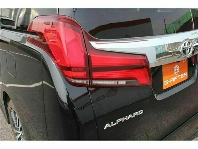ALPHARD-13