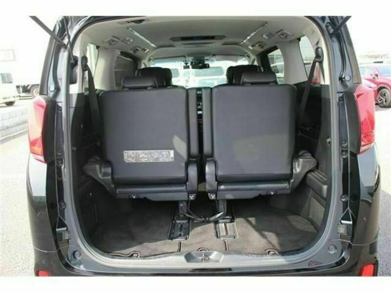 ALPHARD-17