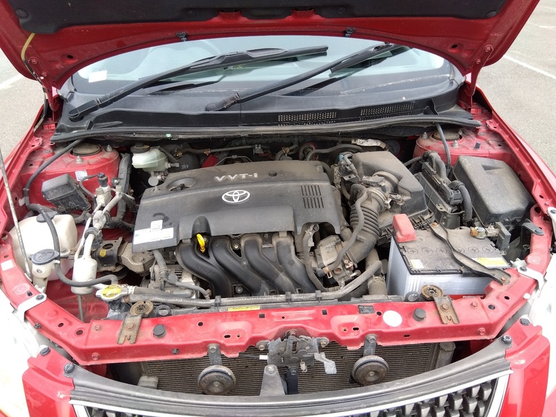 COROLLA FIELDER-6