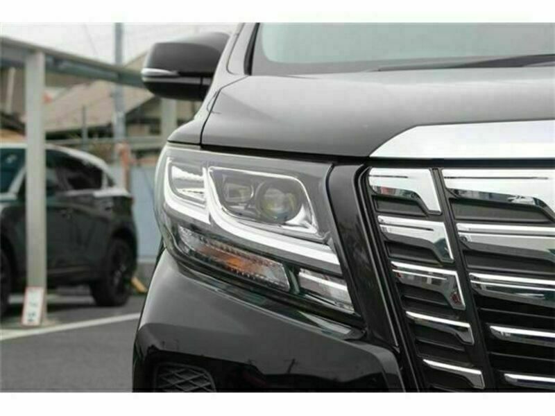 ALPHARD-10