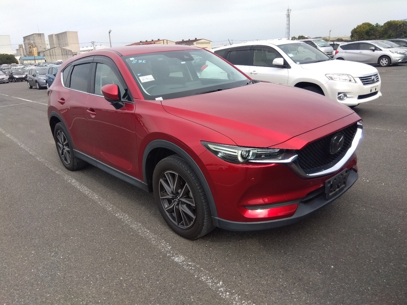 CX-5-1