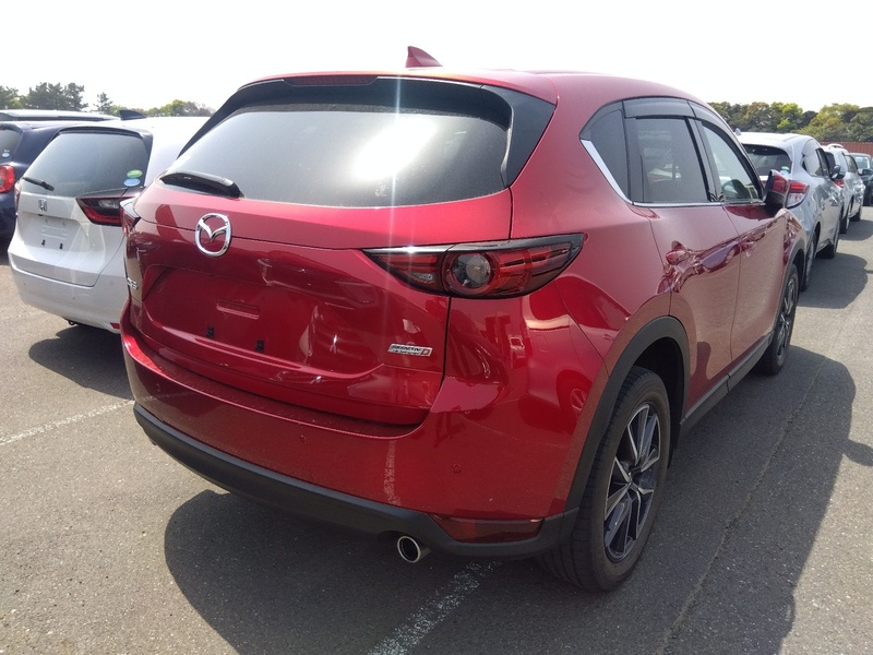 CX-5-3