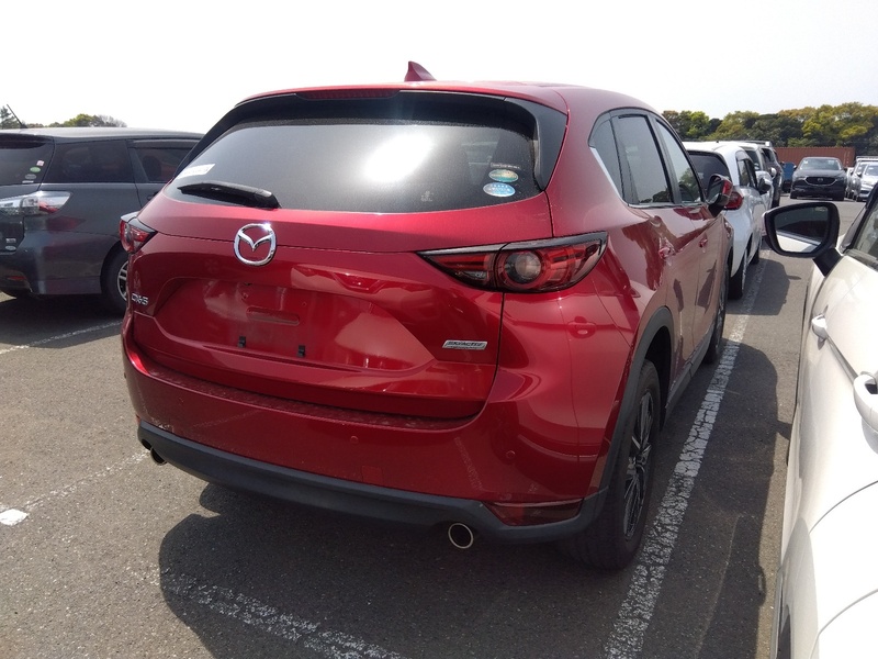 CX-5-3