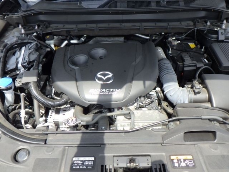 CX-5-17