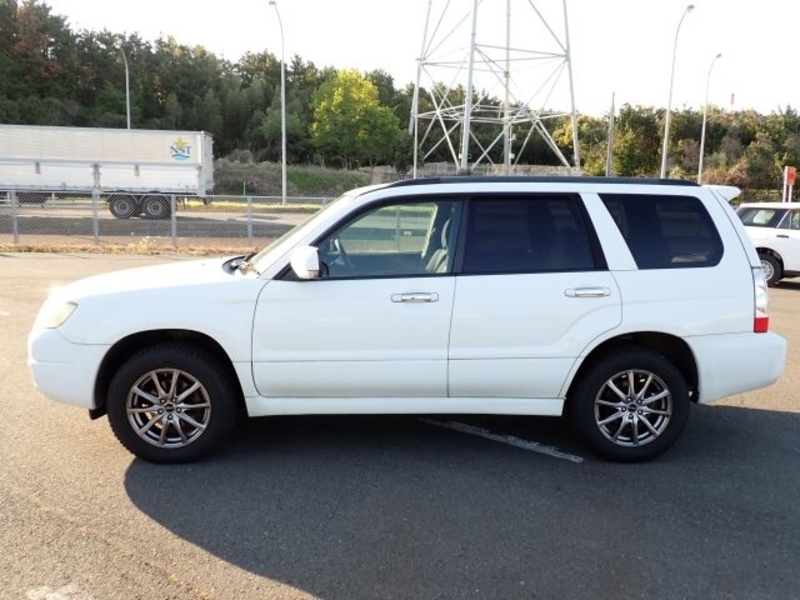 FORESTER-1