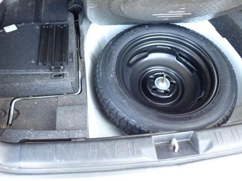 FORESTER-26