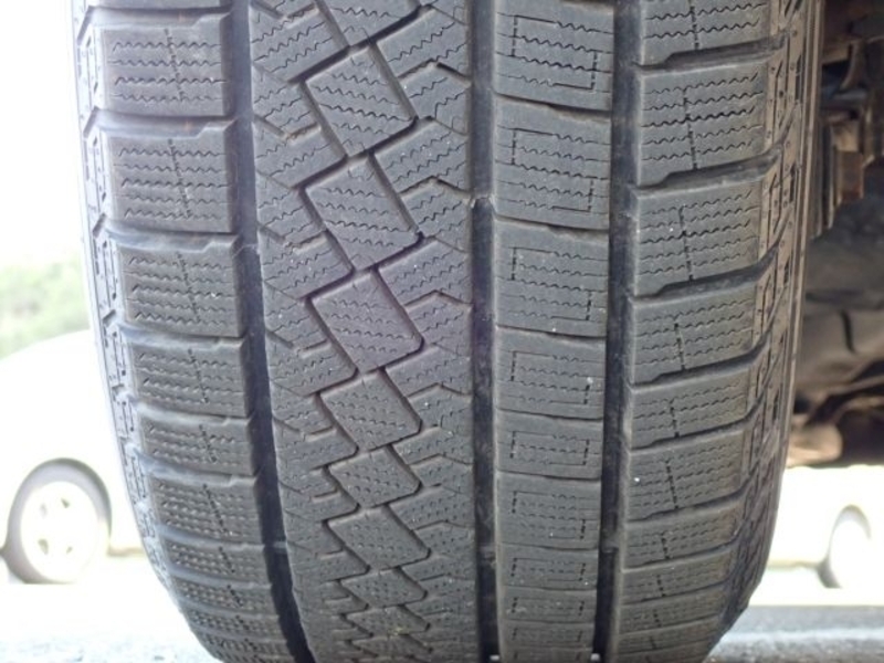 FORESTER-31