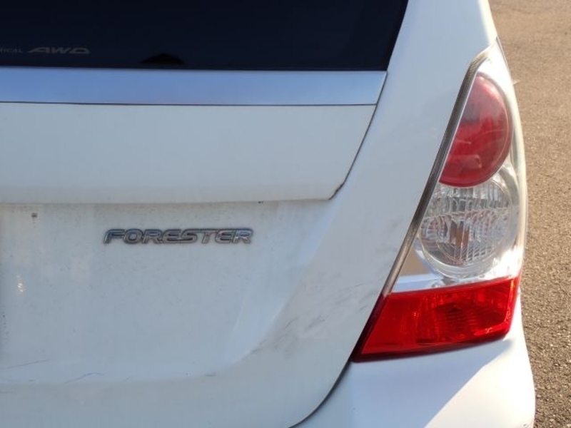 FORESTER-29