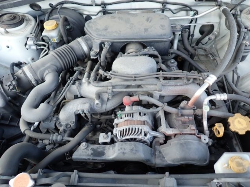 FORESTER-11