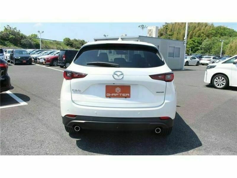 CX-5-3
