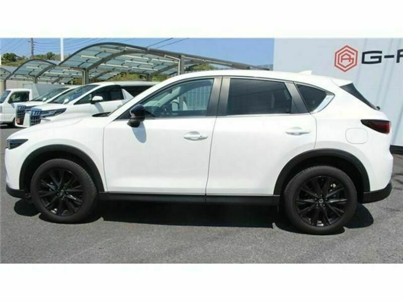 CX-5-4