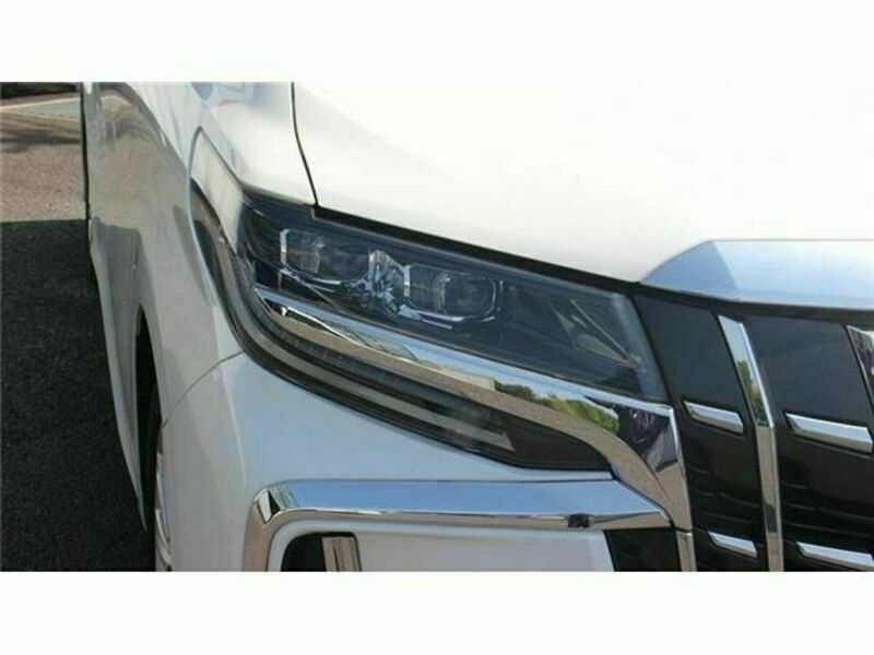 ALPHARD-10