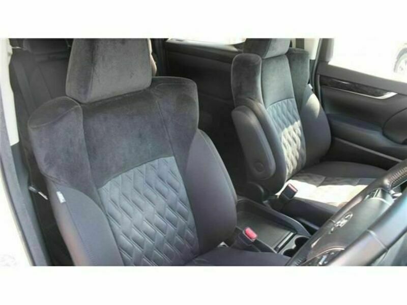 ALPHARD-13