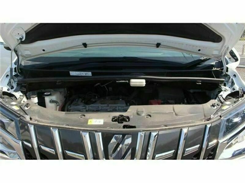 ALPHARD-18