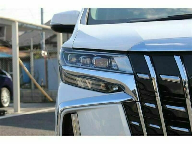 ALPHARD-10