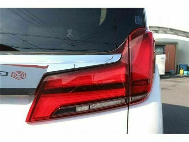 ALPHARD-11