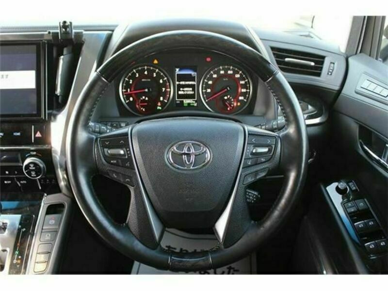 ALPHARD-16