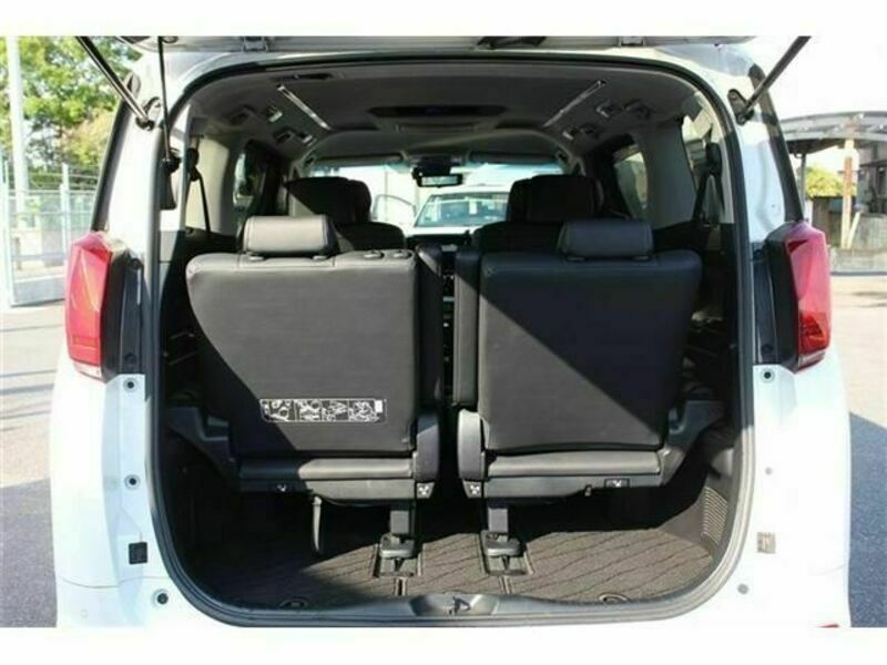 ALPHARD-18