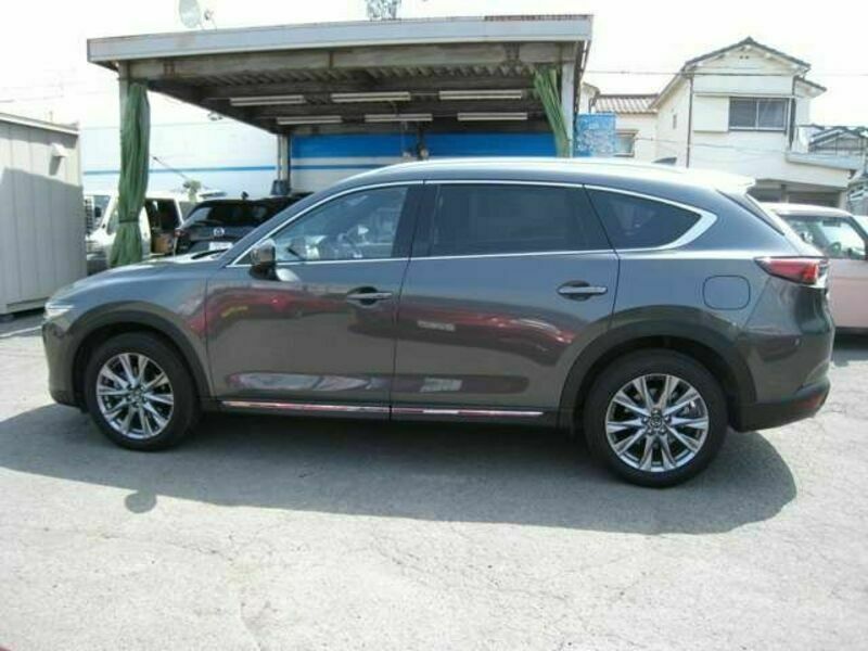 CX-8