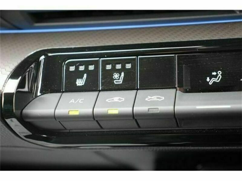 PRIUS-4