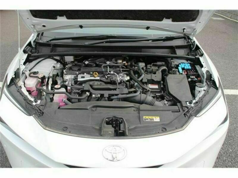 PRIUS-18