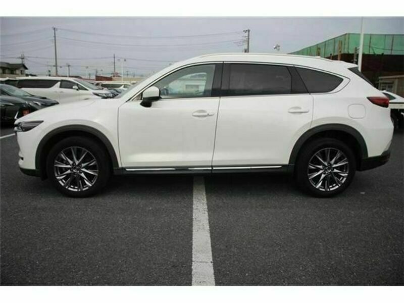 CX-8-7
