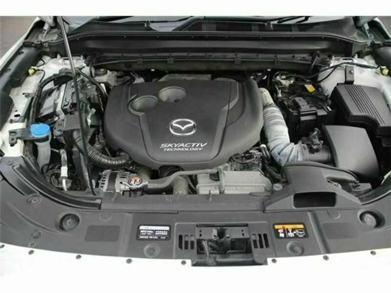 CX-8-18