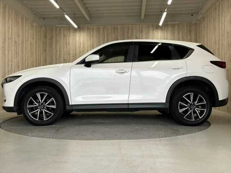 CX-5-18