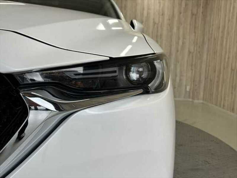 CX-5-19