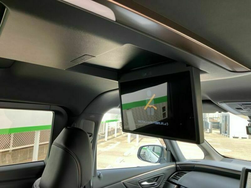 ALPHARD-29