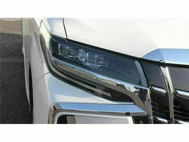 ALPHARD-10