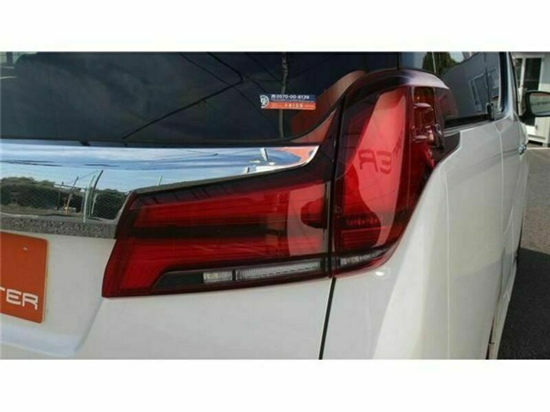 ALPHARD-11