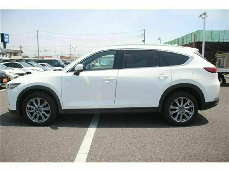 CX-8-8