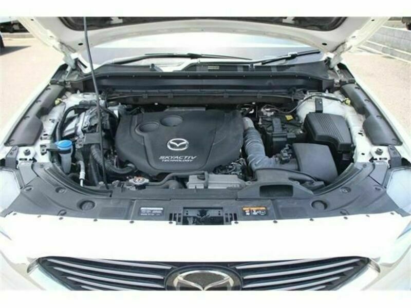 CX-8-15