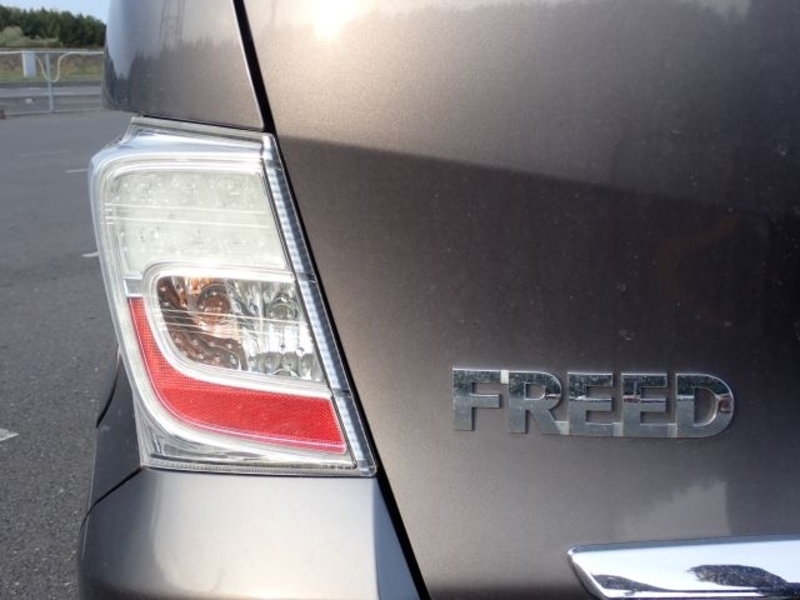 FREED-29