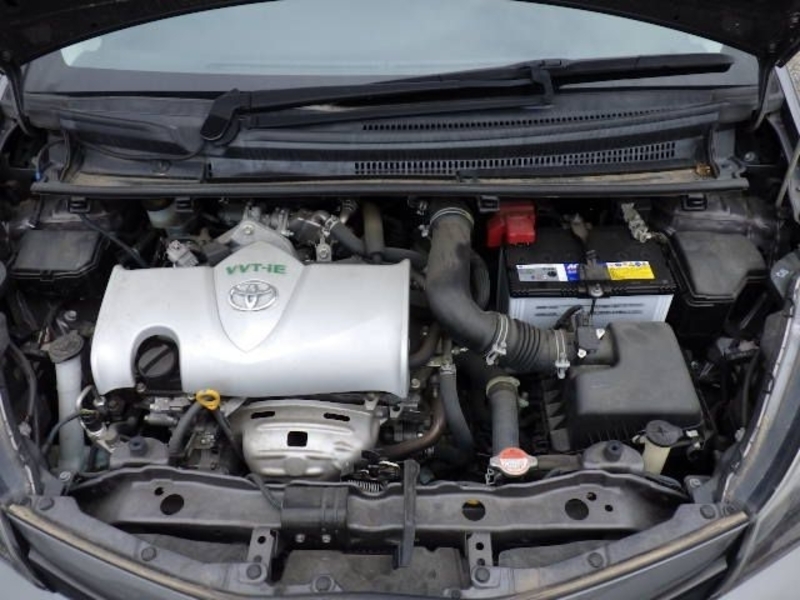 VITZ-7