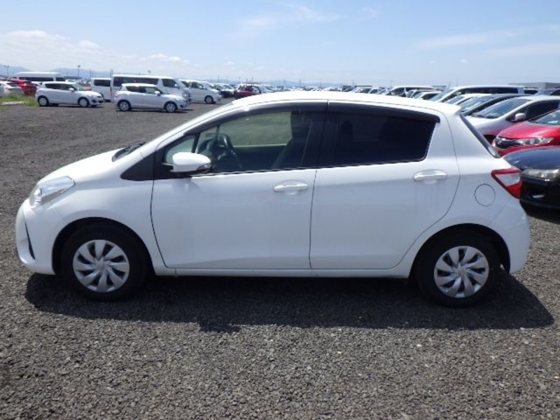 VITZ-49