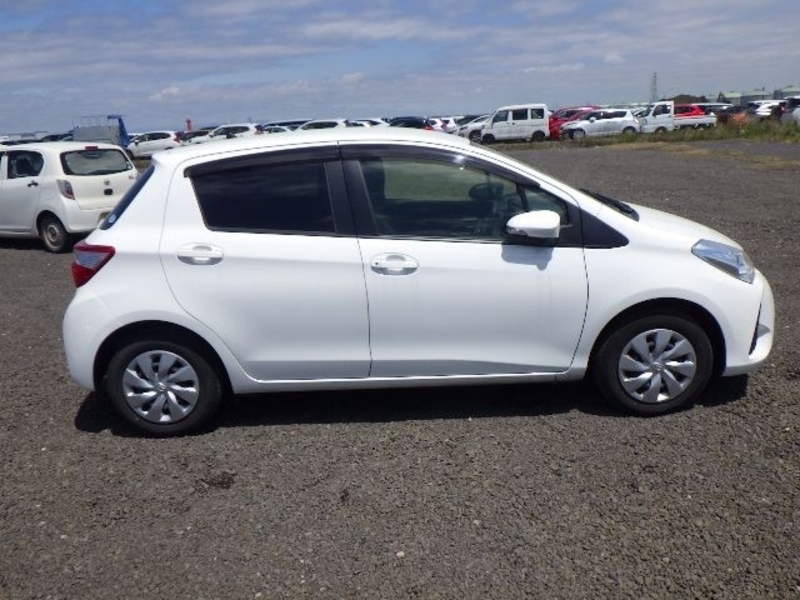 VITZ-3