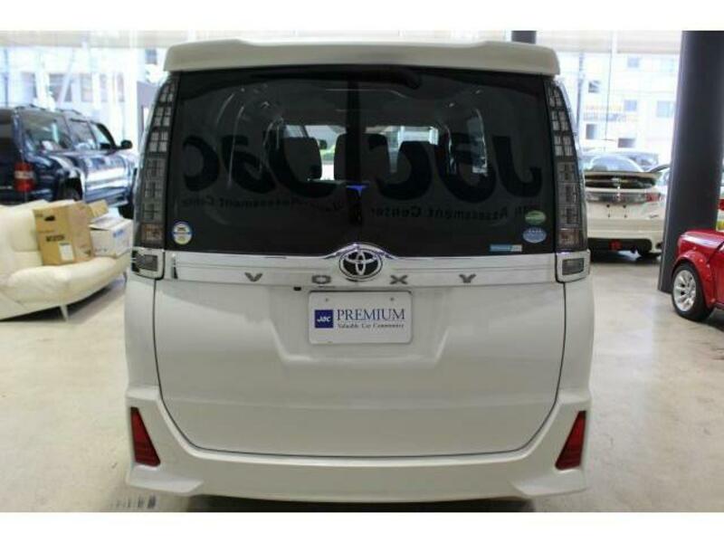 VOXY-10