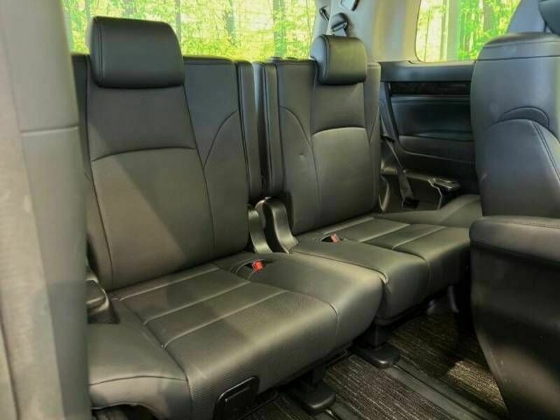 ALPHARD-10
