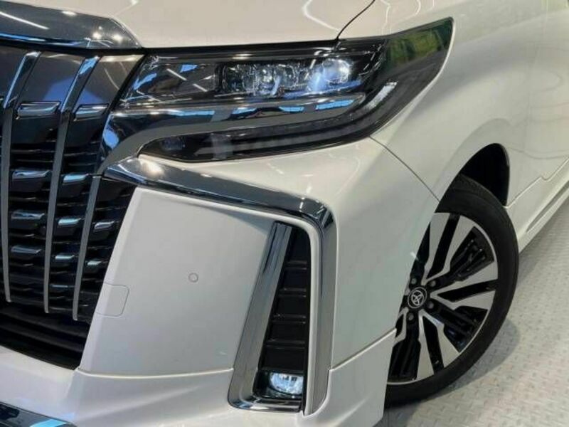 ALPHARD-13