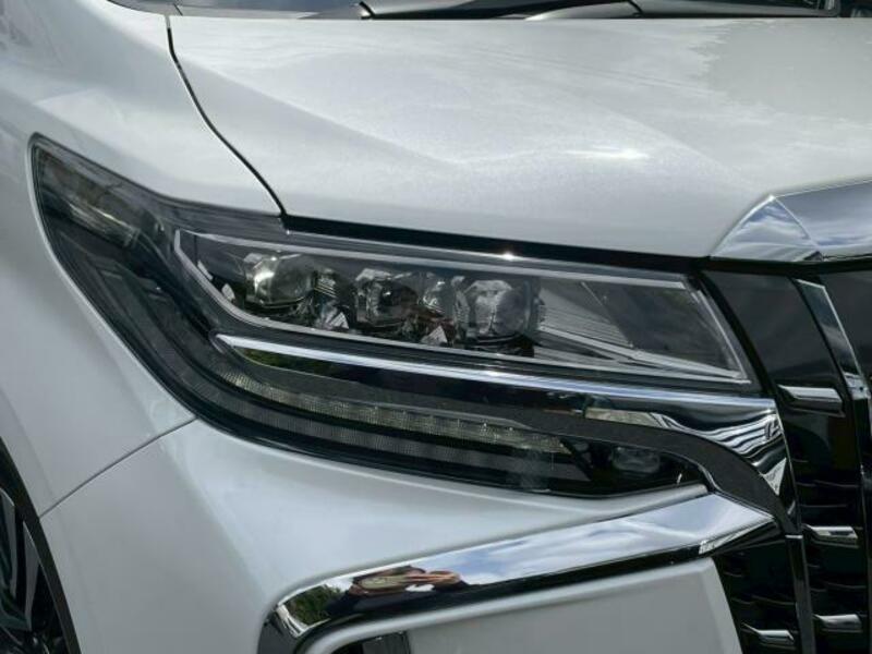 ALPHARD-10