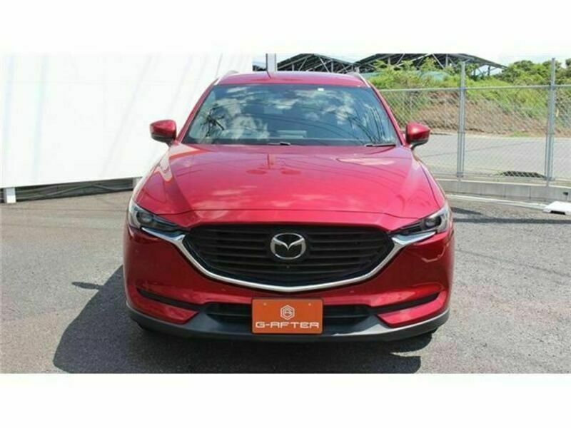 CX-8-6